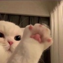 HEY YOU!
