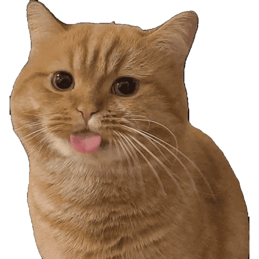 Cat Reaction 10 Sticker