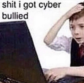 shit i got cyberbullied