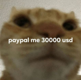 paypal me 30000 usd Sticker