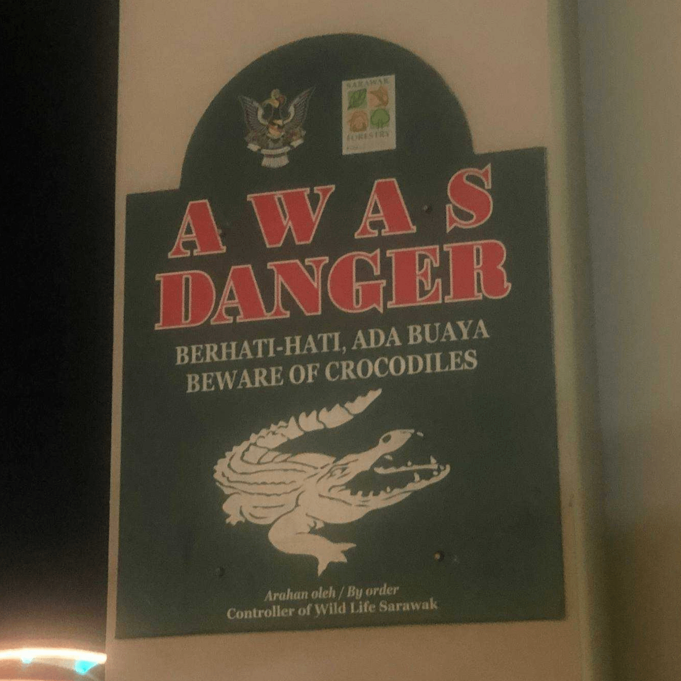 Crocodile Sticker