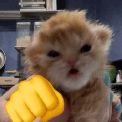 Cat Meme 24 Sticker