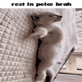 2319-rest-in-peice-brah.png