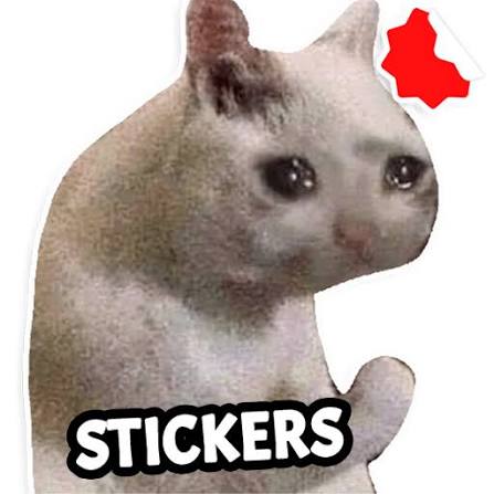 Gatos memes Sticker