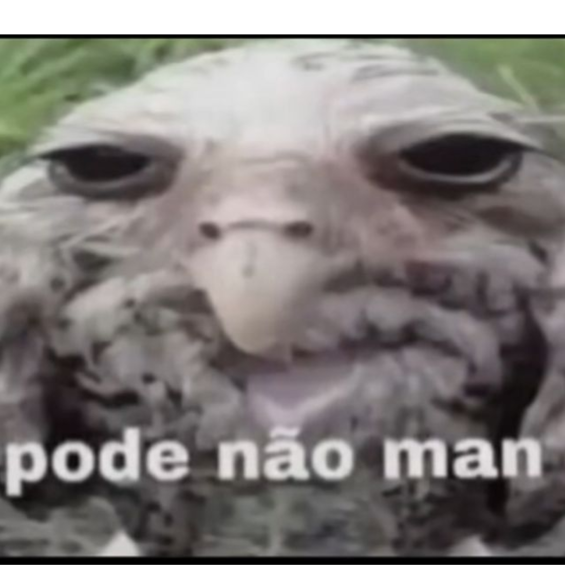 pode nao man