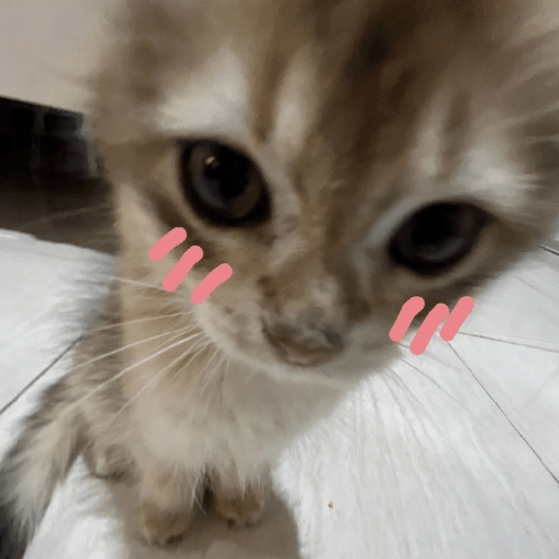 Cat Core 24 Sticker