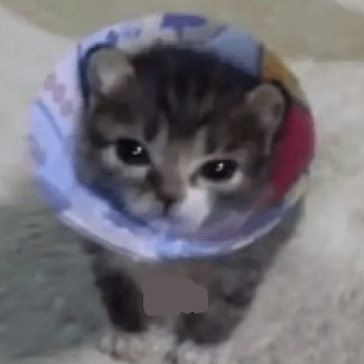Cat Core 10 Sticker