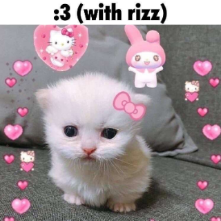 3134-rizz.png