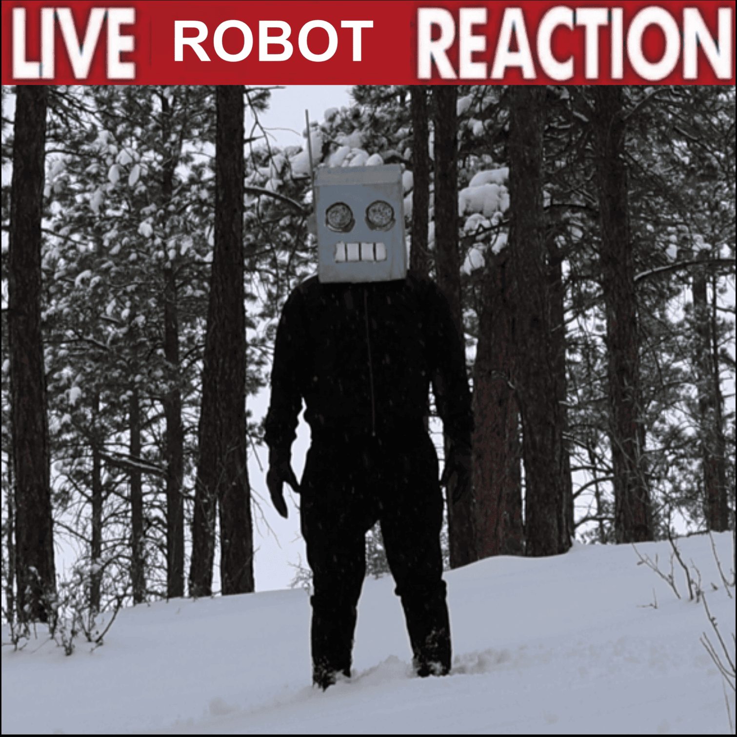 Reaction Discord Stickers