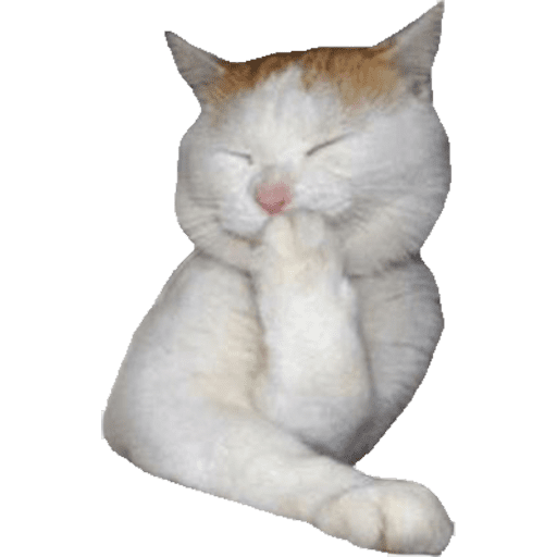 Cat Reaction 14 Sticker