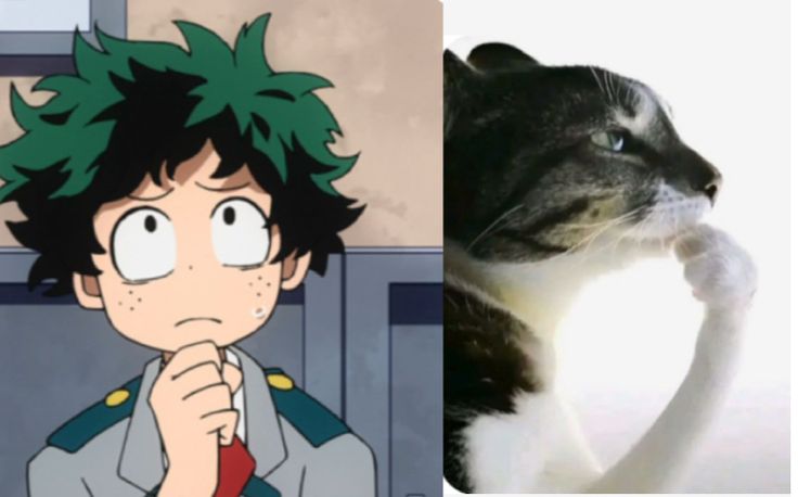 deku Sticker