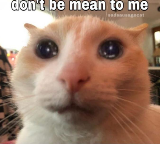 don't be mean to me