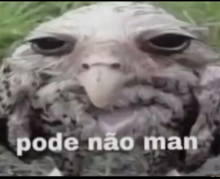 Pode nao