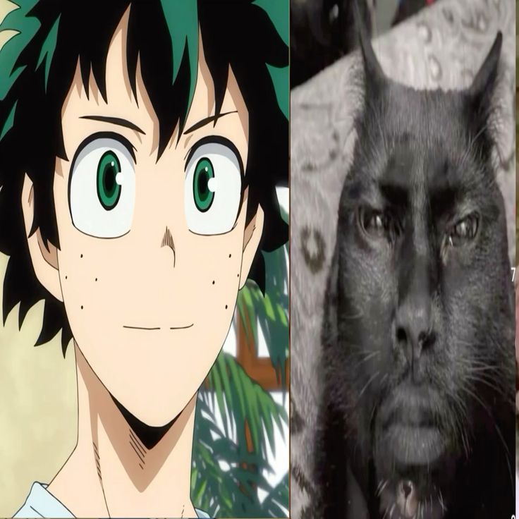 deku Sticker