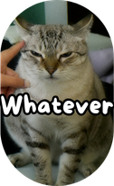 Whatever mino Sticker
