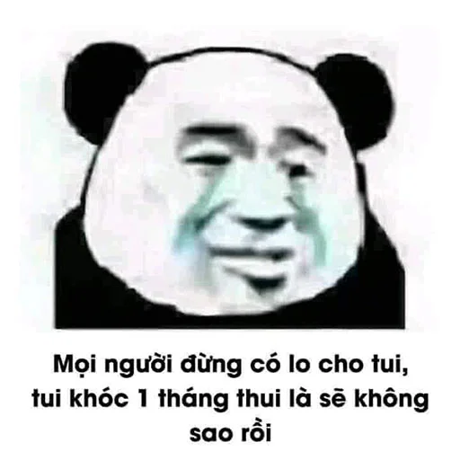 Chinese Panda Sticker