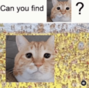 4178-can-you-find.png