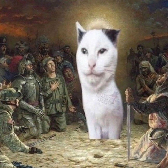 Ben&ccedil;&atilde;o do gato 