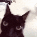 the be to of and a in that i Sticker