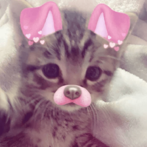 Cat Core 21 Sticker