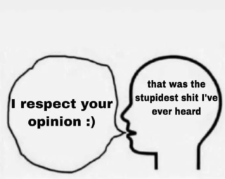 respect ur opinion 