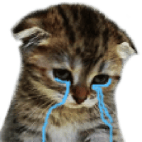 4470-gato-triste.png