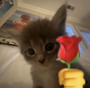 for you baby Sticker