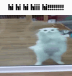Hi cat Sticker