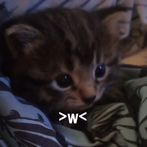 Cat Core 19 Sticker