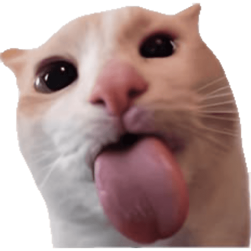 Cat Reaction 13 Sticker