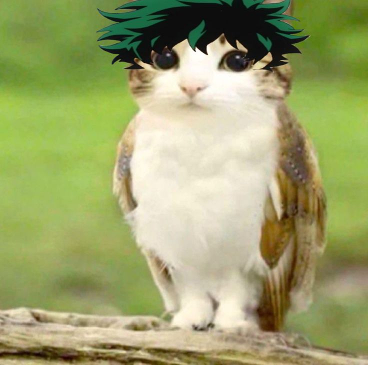 deku Sticker