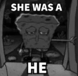 she was a HE Sticker