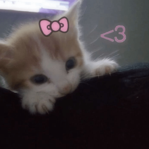 Cat Core 9 Sticker