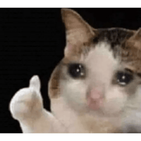 5312-cute-cat-4.png