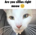 Are you sillious