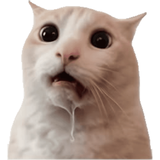 Cat Reaction 12 Sticker