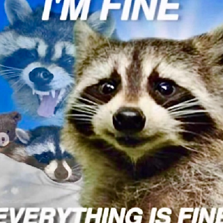 raccoon_imfine