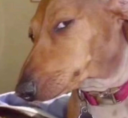 5861-side-eye.png