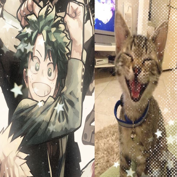 Izuku Sticker