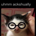 uhmm ackshually Sticker