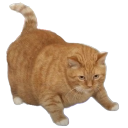 wholesome chonker Sticker