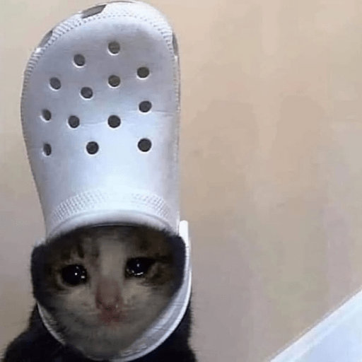 Cat Meme 21 Sticker