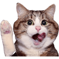 6465-cute-cat-2.png