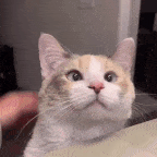 gah