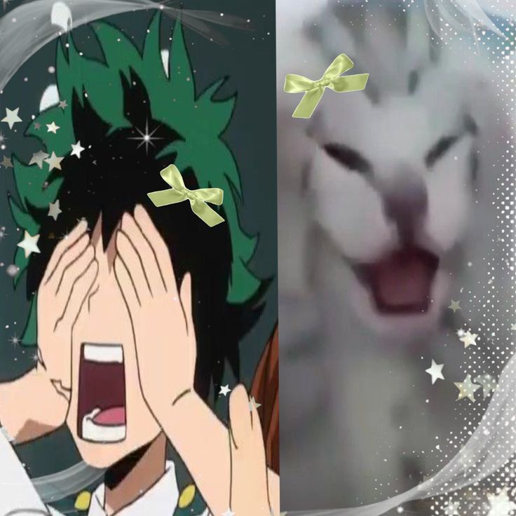 Izuku Sticker