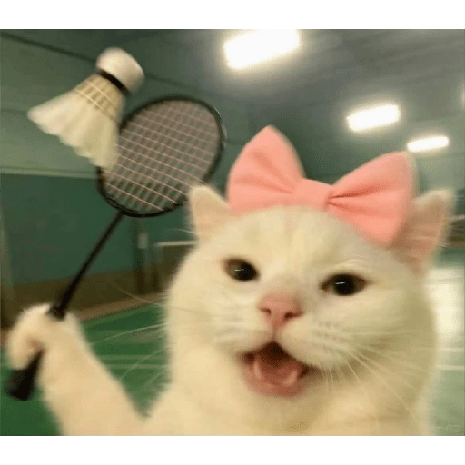 Cute Cat 3 Sticker
