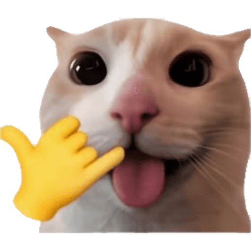 Cat Reaction 2 Sticker