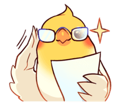 Bird Nerd
