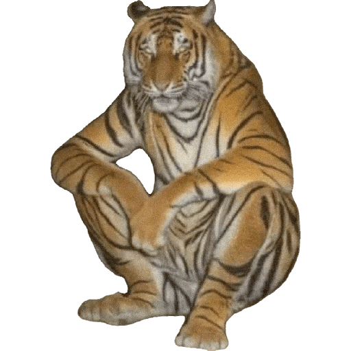 animals chad 7 Sticker