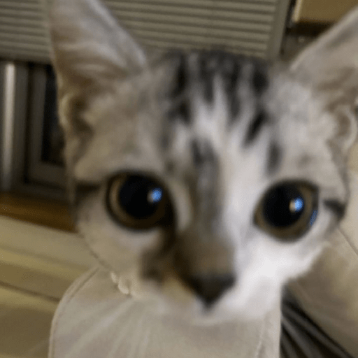 Cat Core 28 Sticker